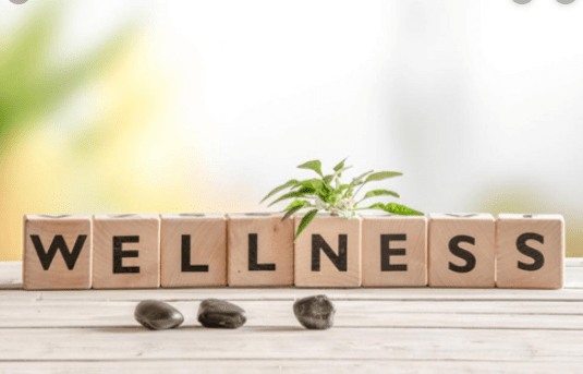 wellness programme