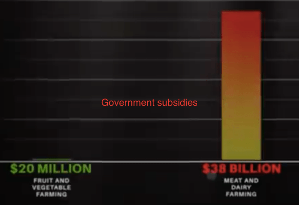 farming subsidies from governments
